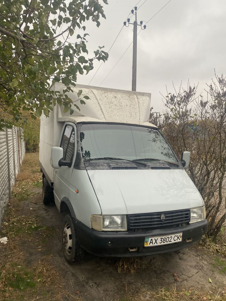 Газель.