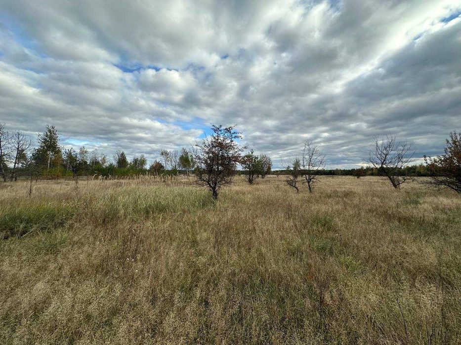 Продаж ділянки 12сот під садівництво. В оточені хвойного лісу. ID:462