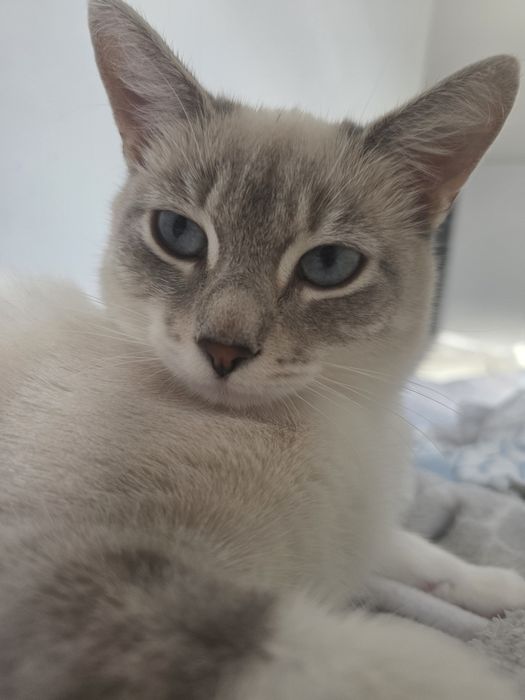 PILNE. MAMY 5 dnia na znalezienie domu tymczasowego