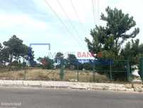 Terreno Rustico em Palmela com 42.965m2