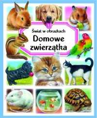 Świat w obrazkach. Domowe zwierzątka - Emilie Beaumont