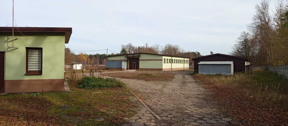 Wynajmę hale przystosowaną pod produkcje