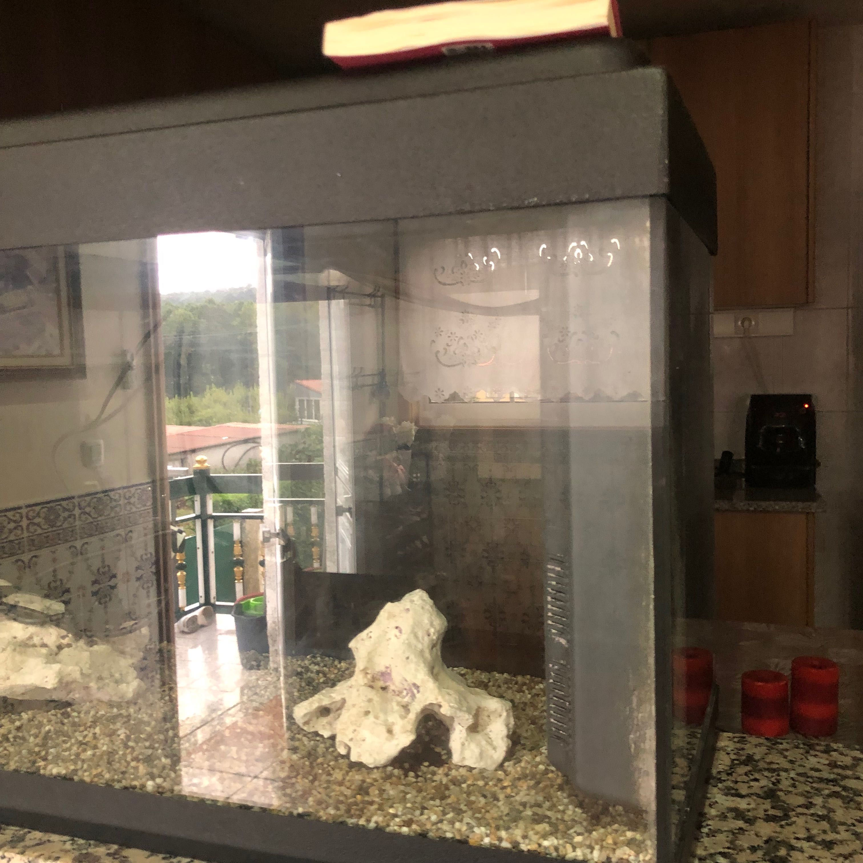 Aquário para peixe