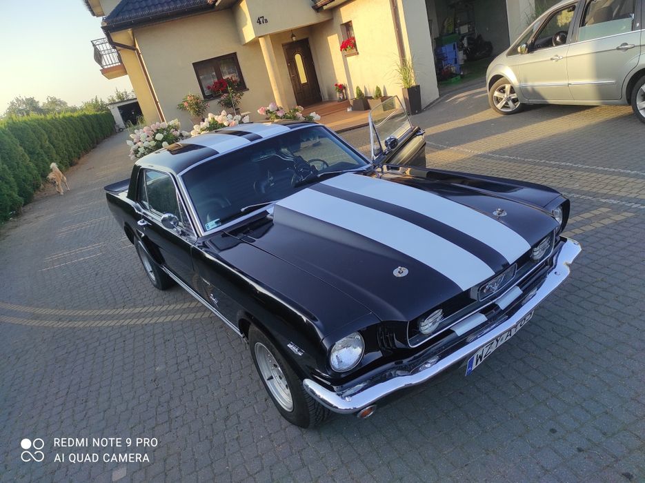 Mustang V8 na wesele ślub przyjęcie kawalerskie wynajem imprezy