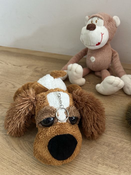 Баранчик, собака, іжачок, заєць, мавпа