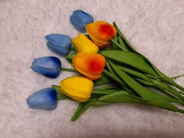 Тюльпани- весняні квіти
