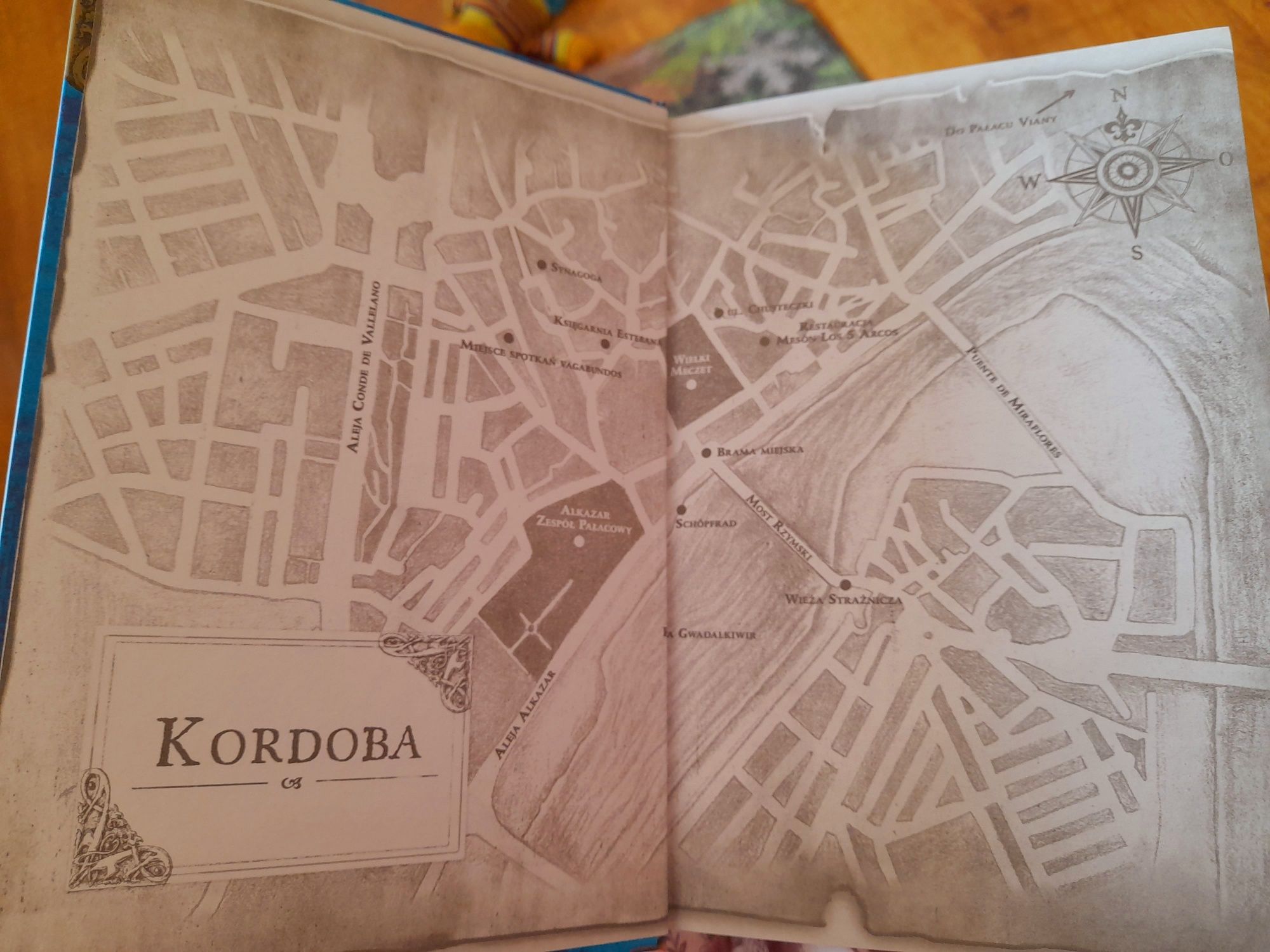 Artur I posłaniec Cieni książki dla dzieci i młodzieży fantastyka