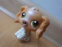 Littlest Pet Shop Cocker Spaniel #79 Hasbro