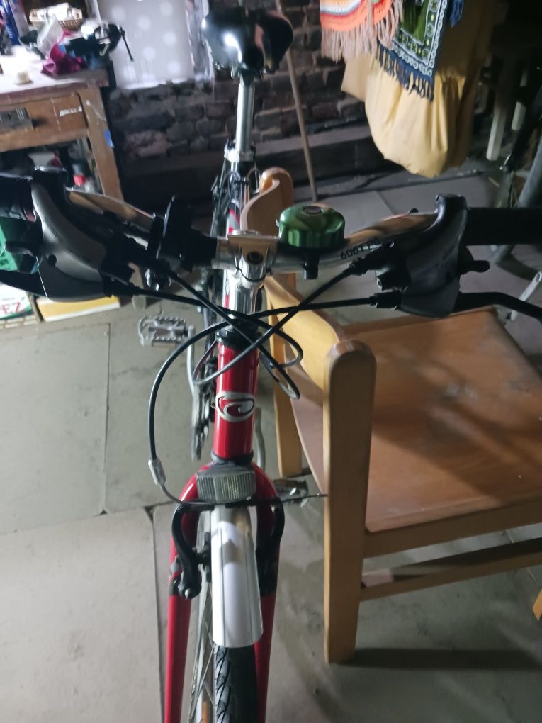 Rower Kelly męski rama aluminiowa