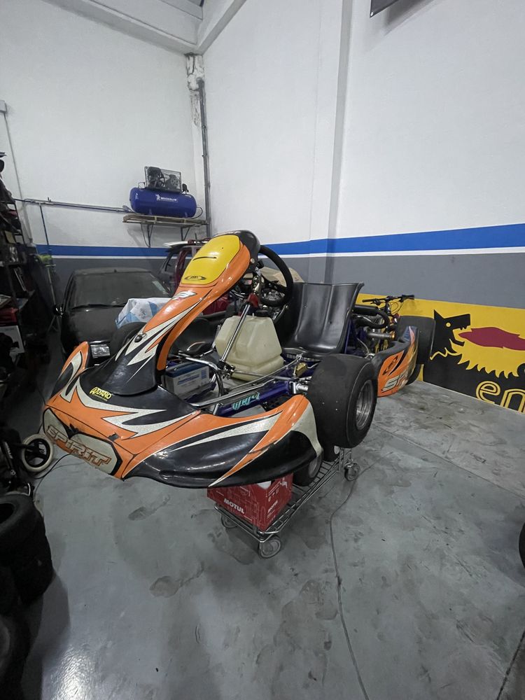 Kart 125 Rotax CRG