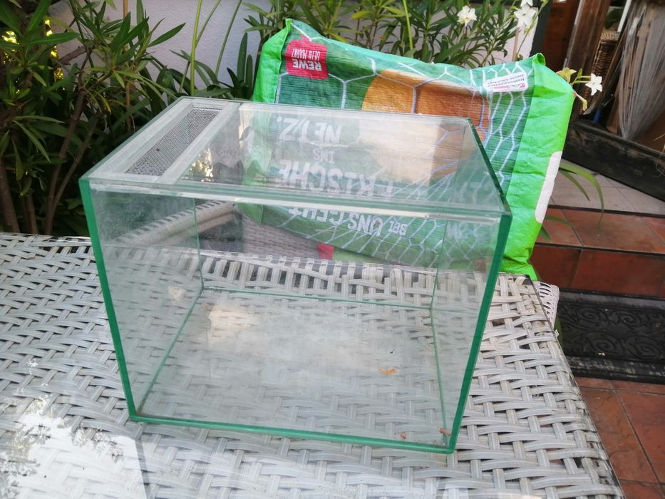 Terrarium dla pająka , patyczaków itp.