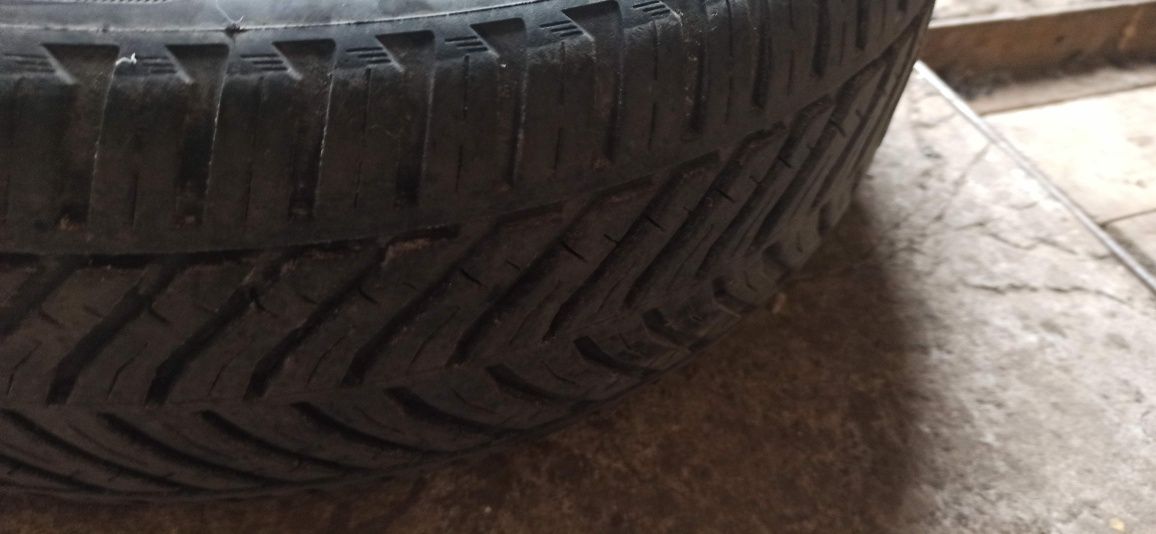 Резина Tigar 185/60 R15