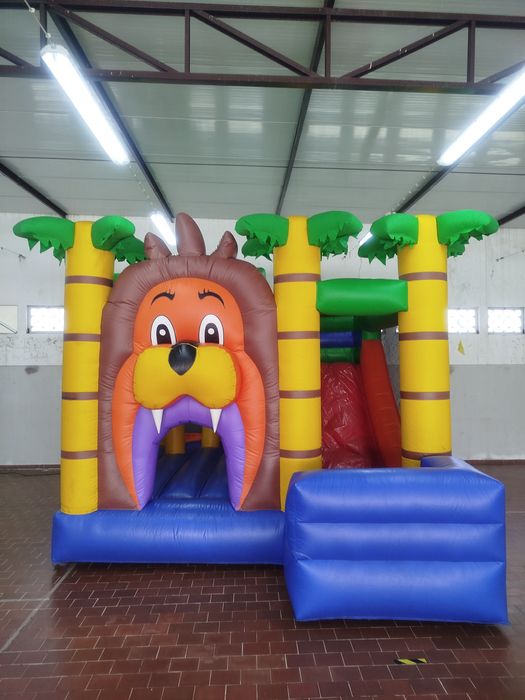 Insufláveis profissionais de lona