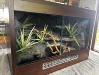 Terrarium z kablem grzewczym