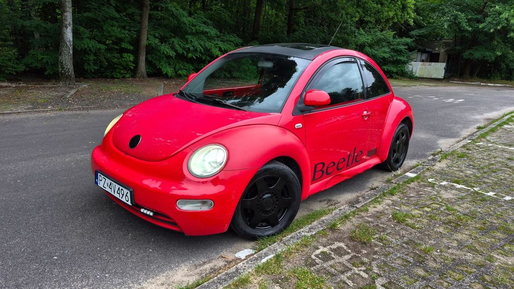 Volkswagen New Beetle Przegląd 06/2026