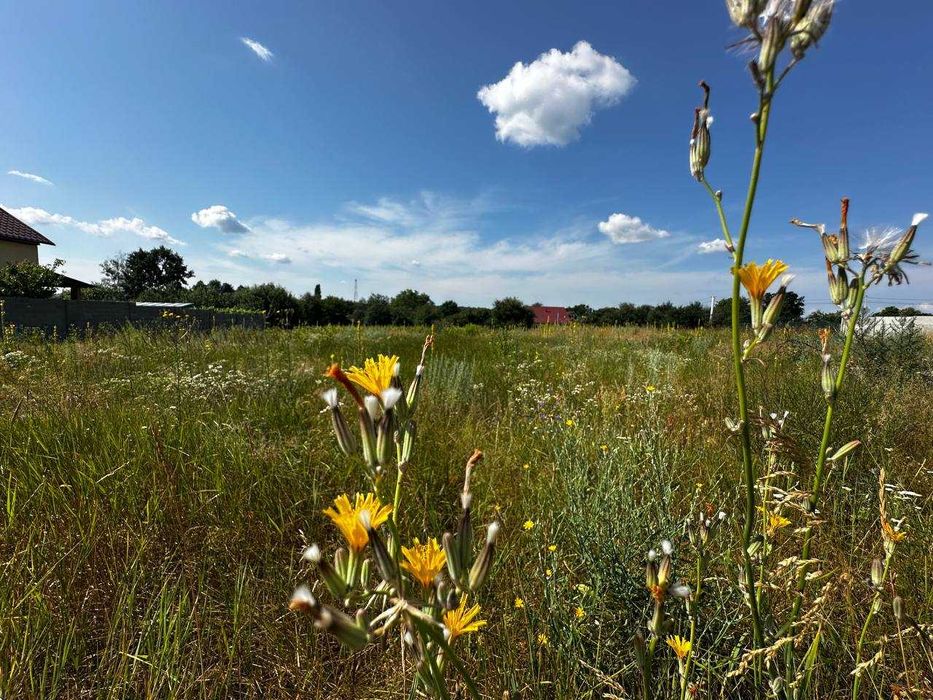 Продаж земельної ділянки в с Микуличі.15сот,асфальтована вулиця.ID:731