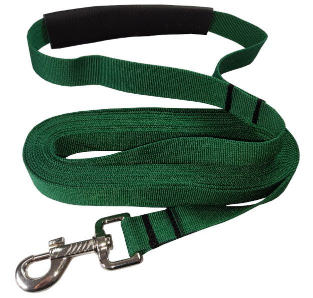 smycz z taśmy dla średniego psa do 5-25kg 2m