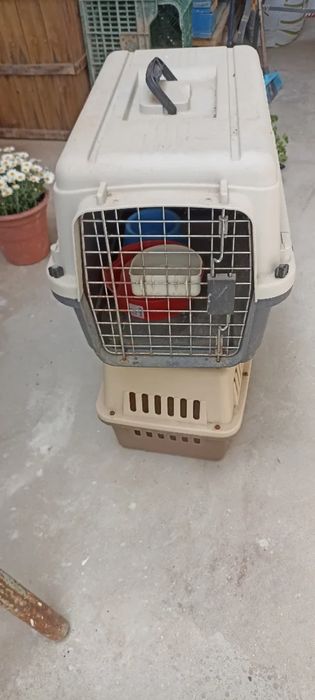 Caixa transporte animais