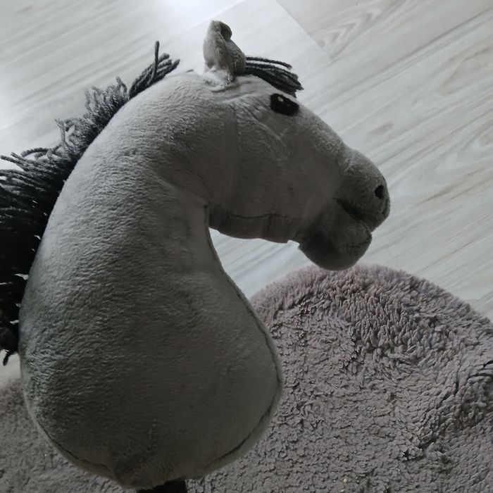 Na sprzedaz Hobby horse