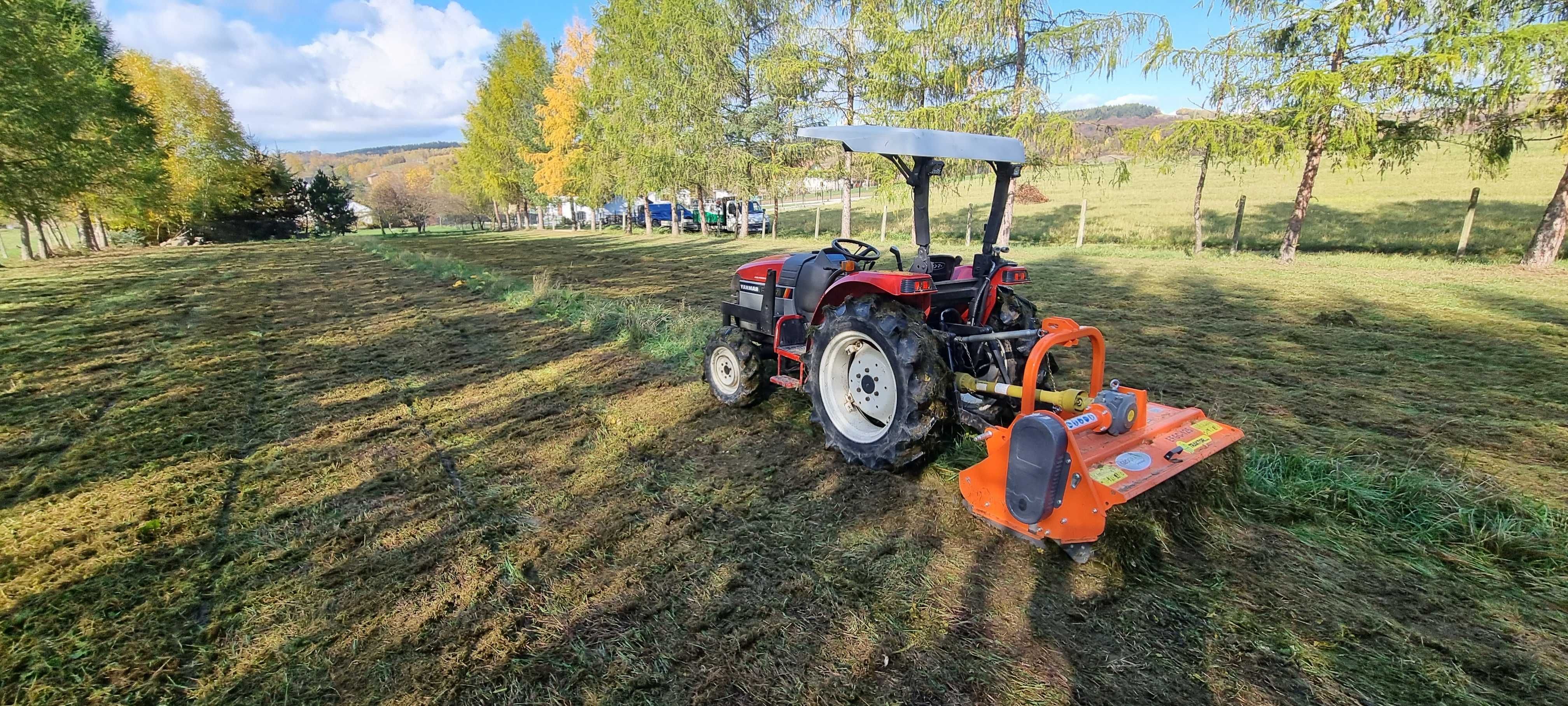 Frezowanie Pni Karpi, Usuwanie korzeni, Wycinka drzew, frezarka do pni