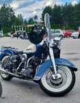 Harley Davidson Panhead