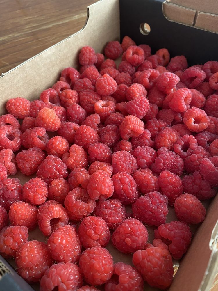 Framboesa fresca fruta