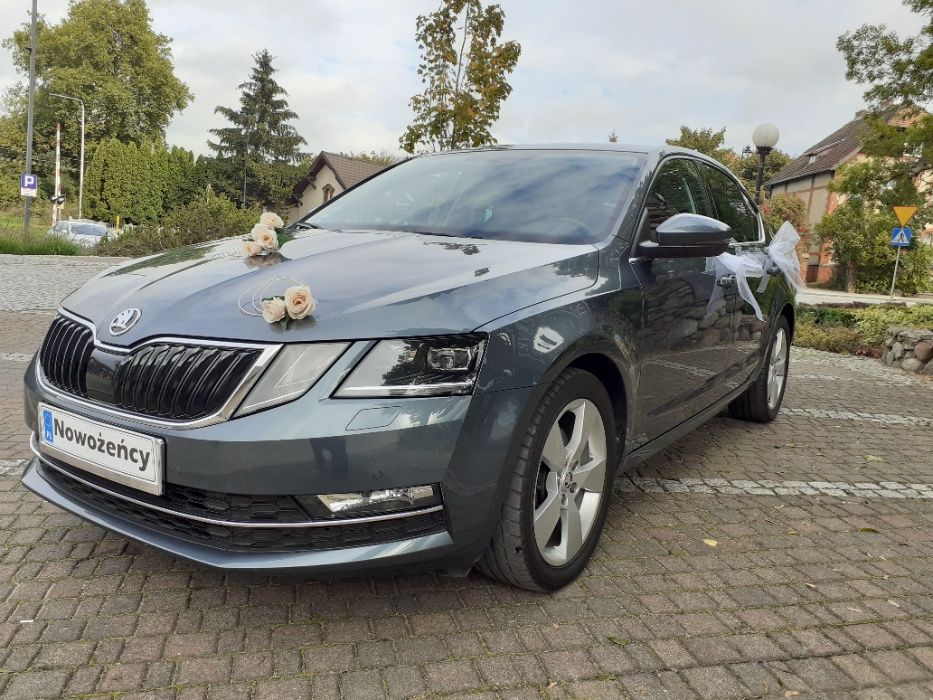 Auto do Ślubu - Piękna Skoda Octavia