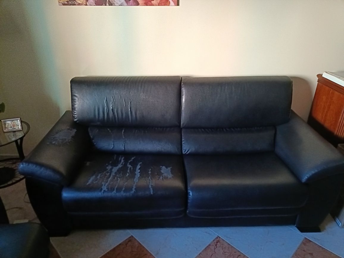 2 Sofás ( emitacao de pele)