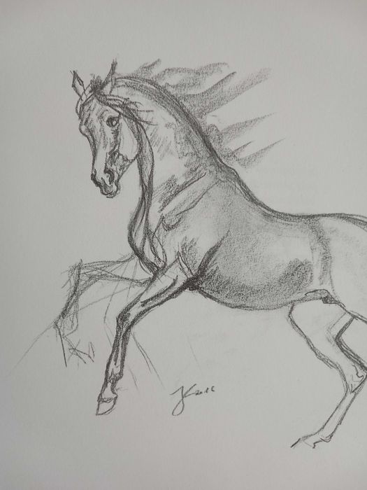 Joanna Kossak - ogier - rycina - szkic kredką