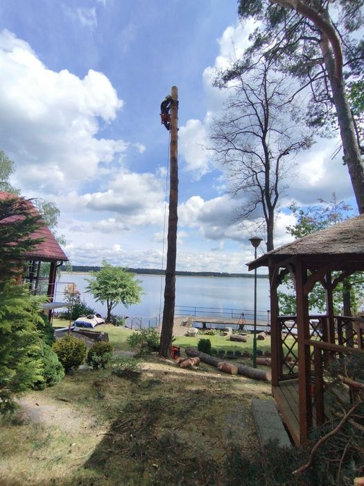 USŁUGI RĘBAKIEM mielenie gałęzi zrębkowanie WYCINKA drzew frezowanie