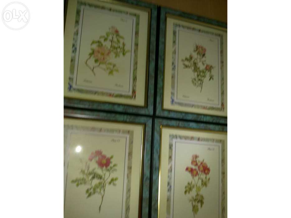 4 Quadros decorativos com motivos florais