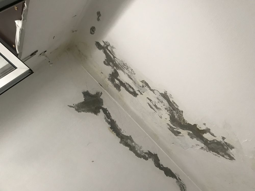 Pladur, pinturas exterior, interior