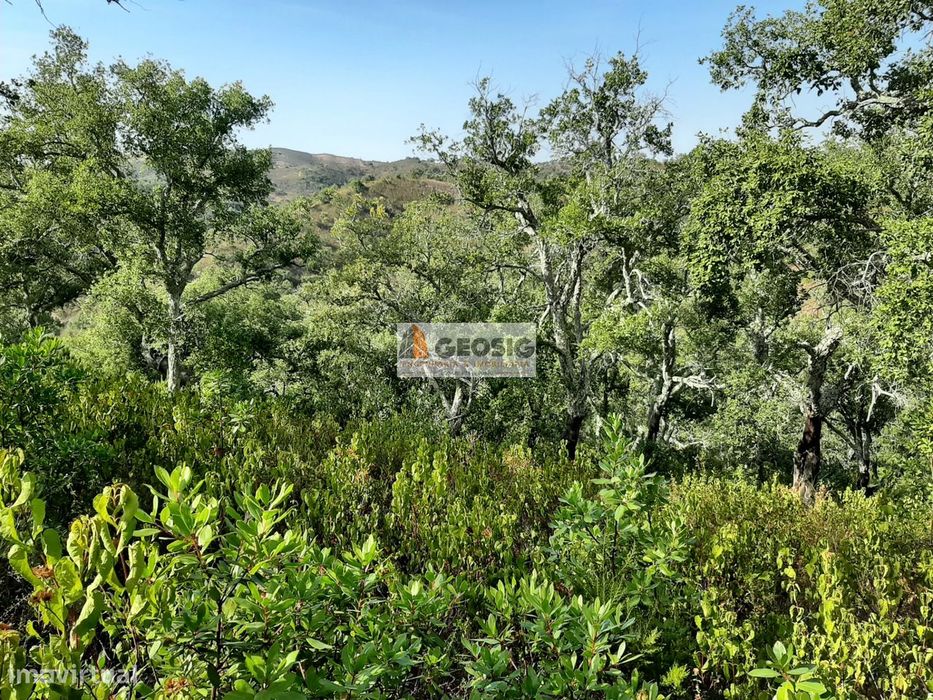 Terreno Rústico  Venda em Santa Clara-a-Nova e Gomes Aires,Almodôvar