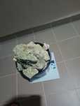 25kg sucha skala do akwarium morskiego reef morskie marco