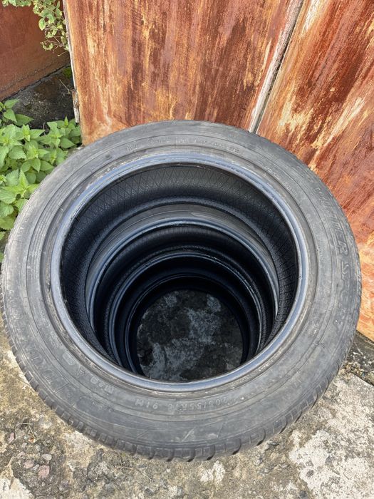 Зимові шини Dunlop 205/55 R16