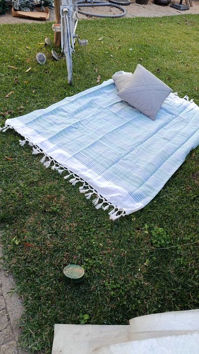 Mantas PIC nic novas