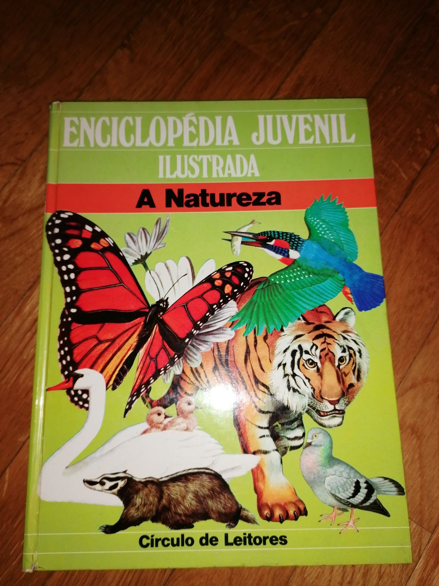 Enciclopédia juvenil ilustrada