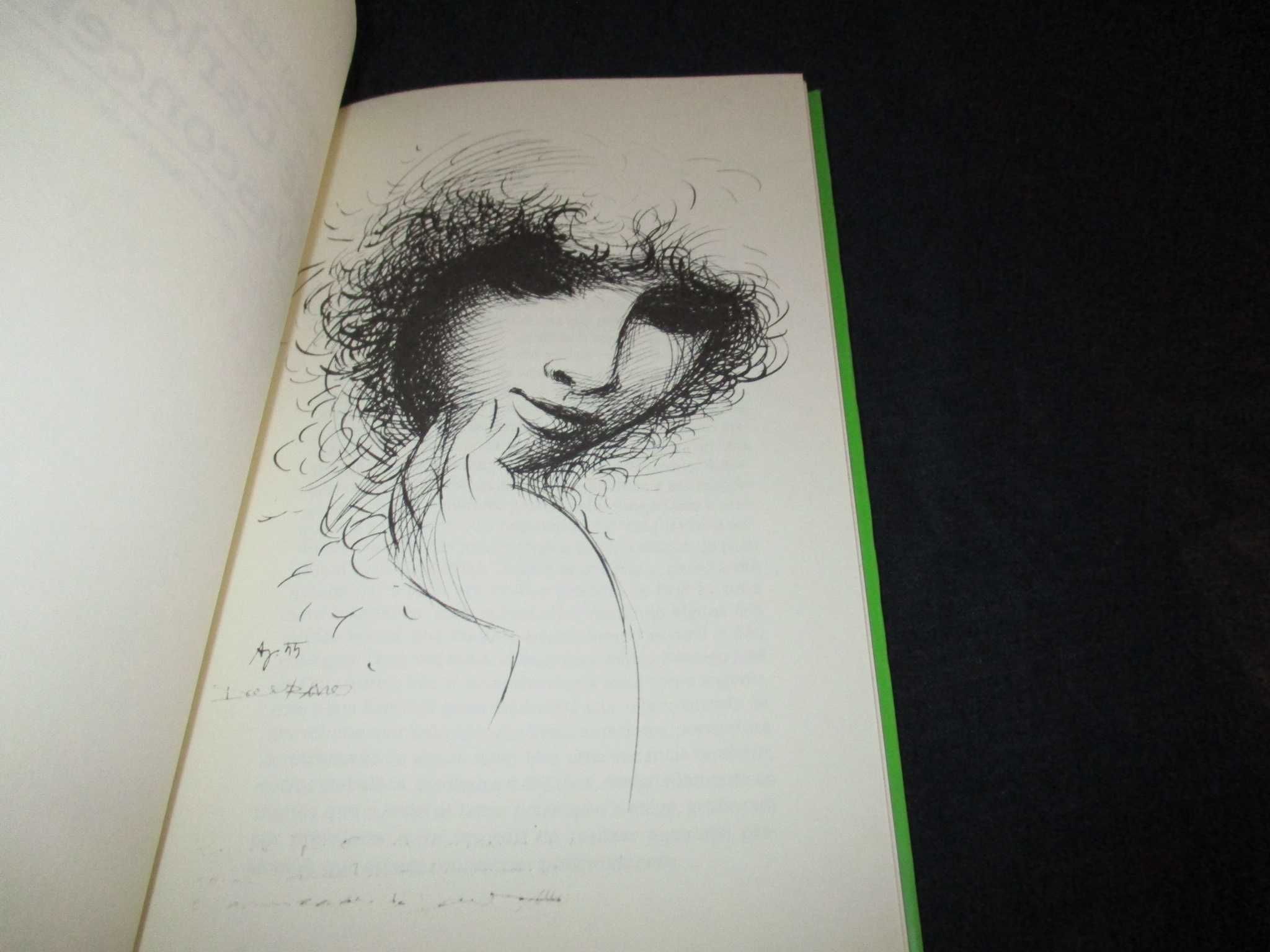 Livro O Sol das Palavras José Carlos Vasconcelos