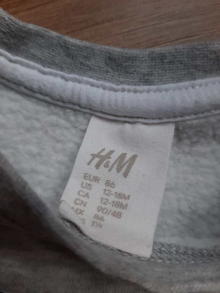 Bluza szara z nadrukiem, Born Loud, dłuższa, H&M, 86, meszek w środku