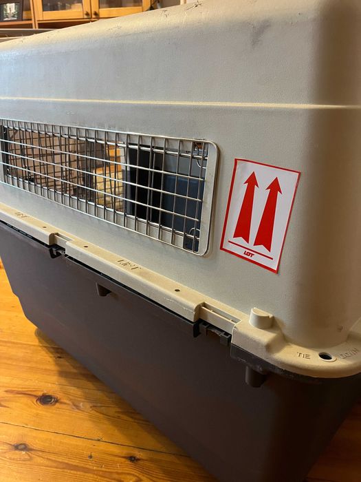 Klatka dla psa KENNEL do podróży lot XXL
