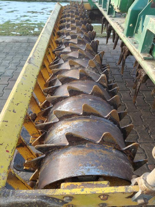 Brona aktywna Eberhardt