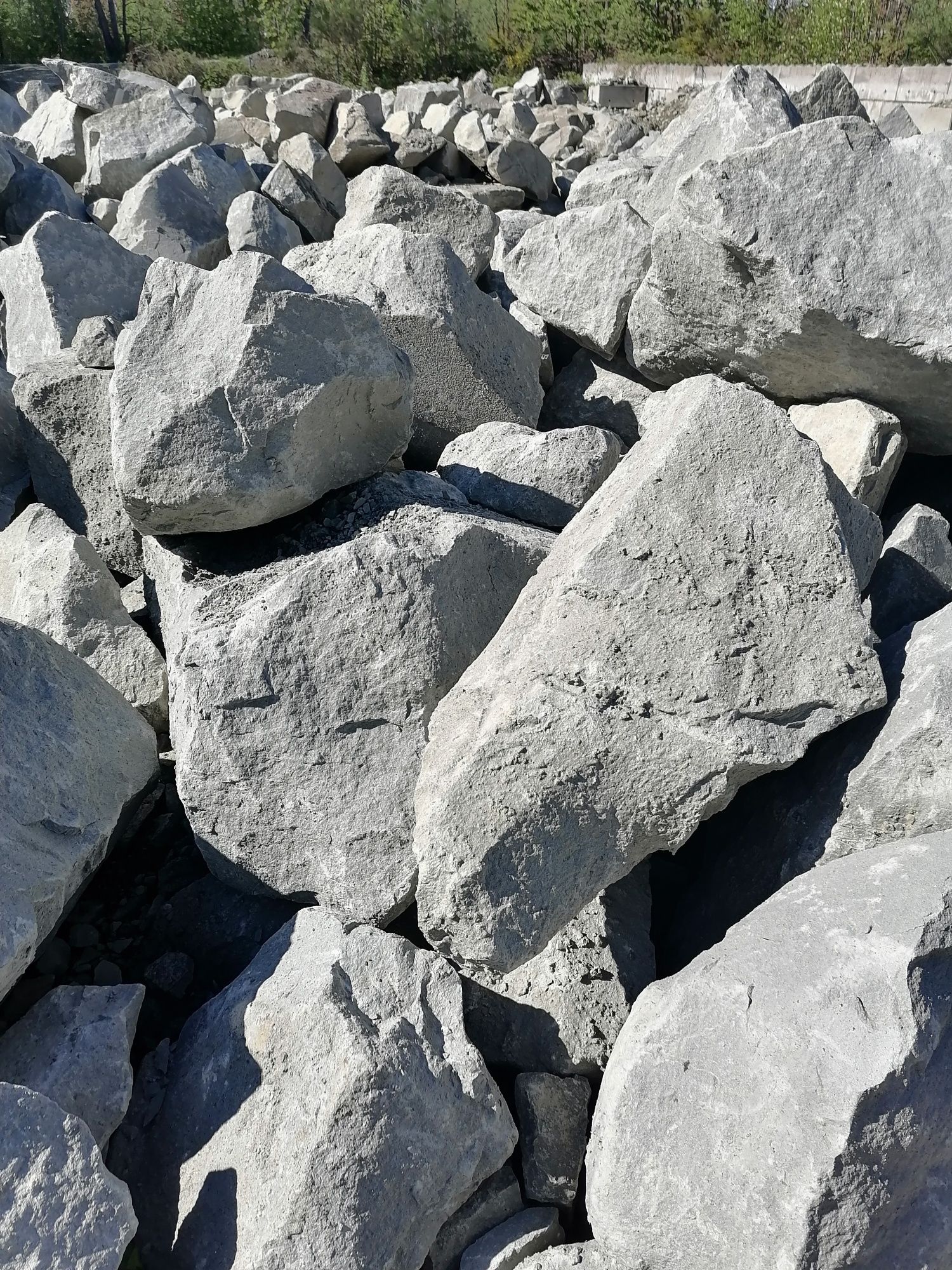 Kamień ogrodowy ozdobny naturalny  głazy