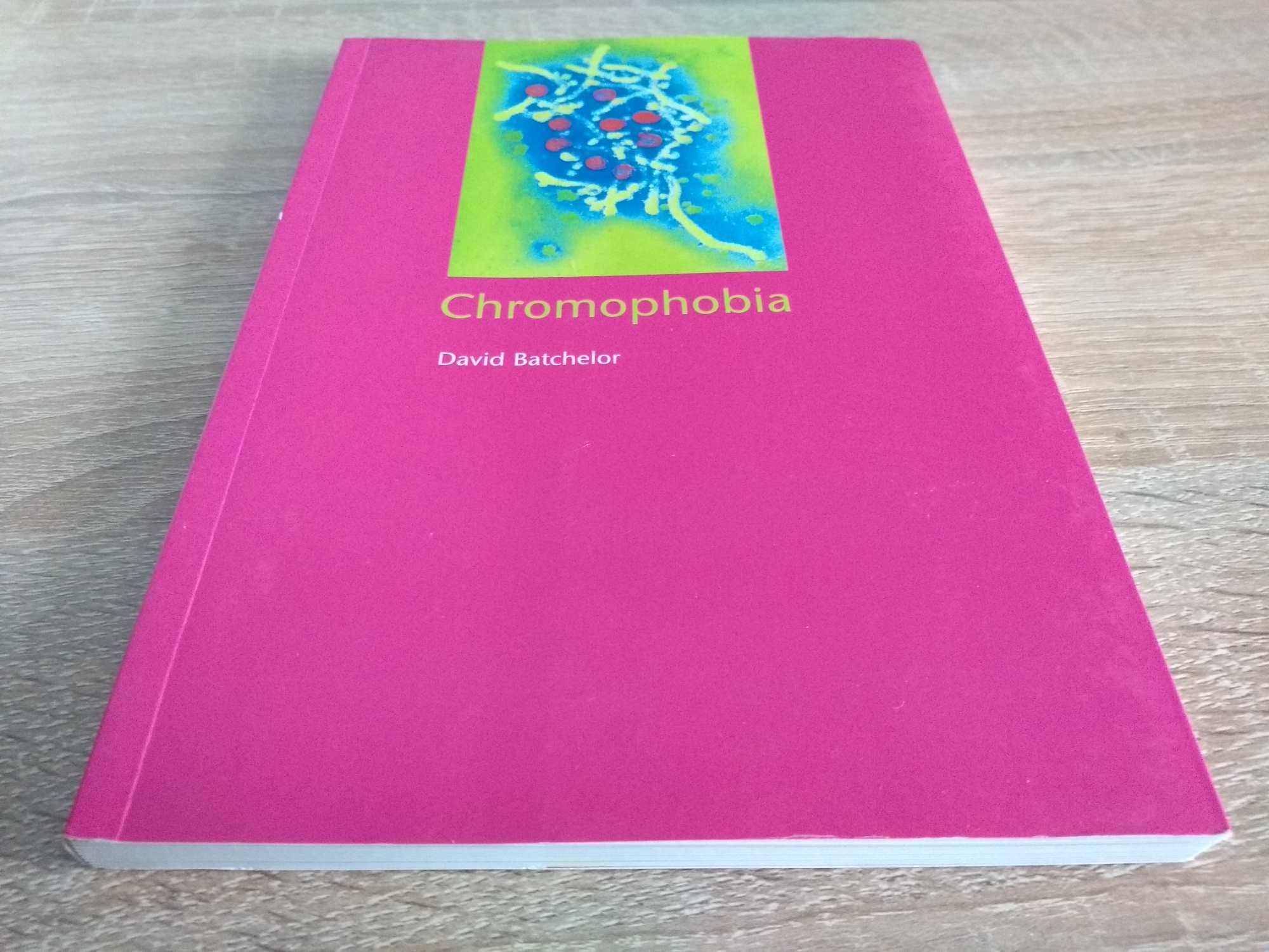 Książka po angielsku Chromophobia, David Batchelor