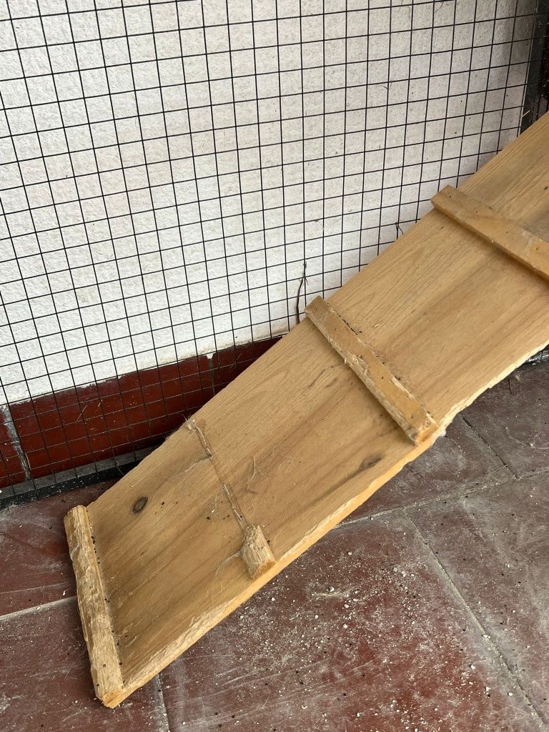 Coelheira para coelhos