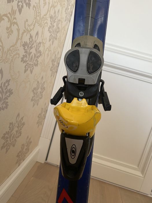 Лижі гірськолижні з чехлом