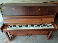 Pianino Calisia 87r., Legnica 68r.