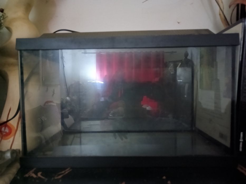 Aquário 40 centímetros com luz