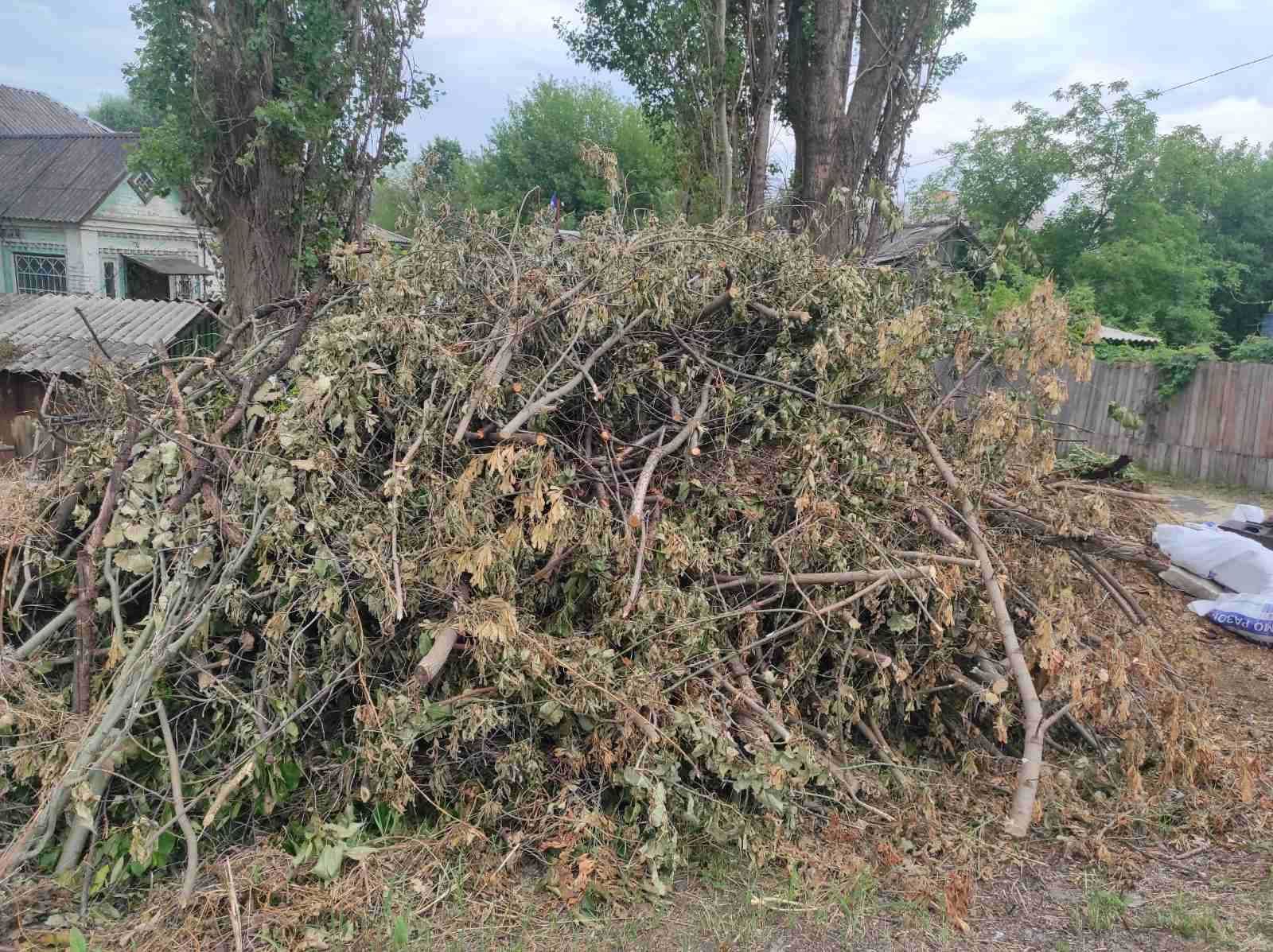 Вивіз сміття, трави, хламу недорого