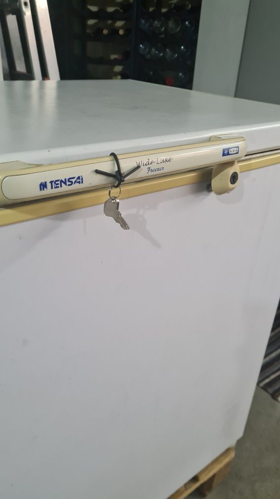 Arca congeladora