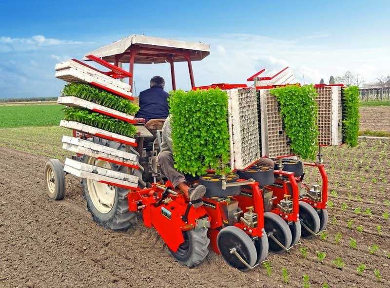 Саджалка ОВОЧЕВА Checchi & Magli перцю, капусти, баклажанів, помідорів